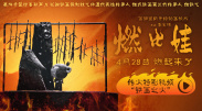 巴黎谍影在线完整版免费观看
